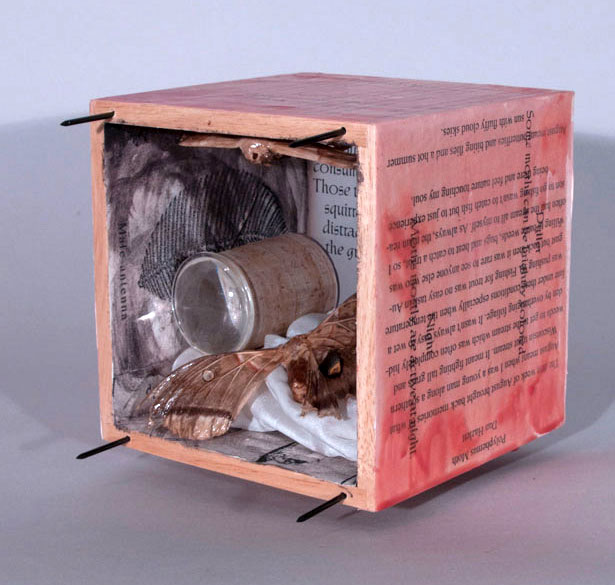 Polyphemus Box